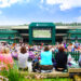 Everything You Need to Know About Wimbledon Championships