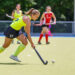 The fantastic history of hockey