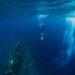 The freediver who holds his breath for over 9 minutes as well as 33 world records