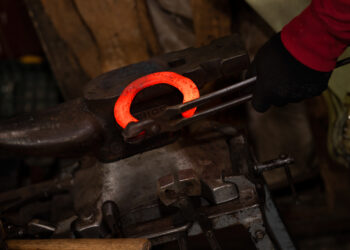 Guidelines on Shoeing a Race Horse