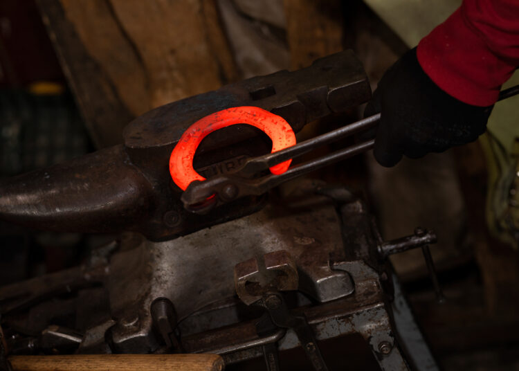 Guidelines on Shoeing a Race Horse