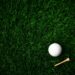 The Inside Of a Golf Ball