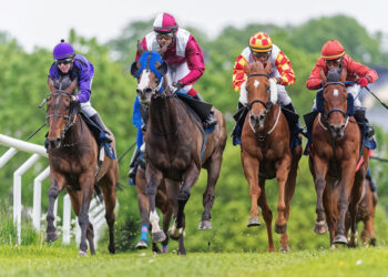 Incredible facts about horseracing that you ought to know