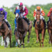 Incredible facts about horseracing that you ought to know